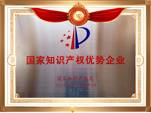 國家知識產(chǎn)權(quán)優(yōu)勢企業(yè).png