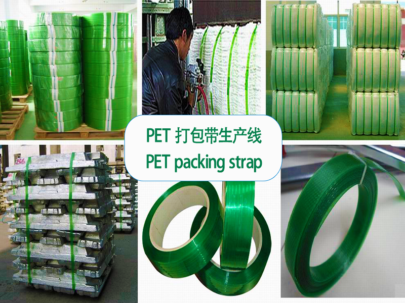 PET打包帶 (5).png